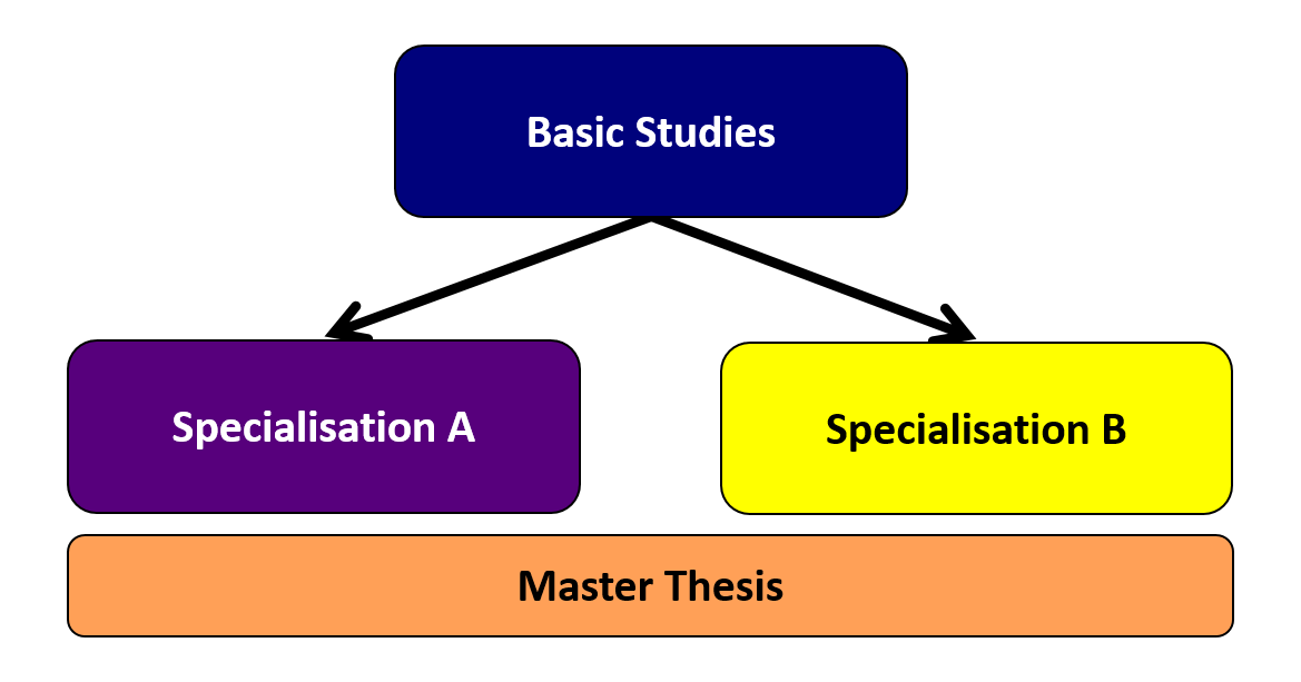 Enlarged view: diagram of first year and specialization in second year